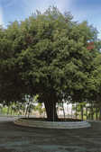 tkm001_771561