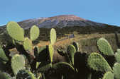tkm001_771591
