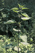 tkm001_772193