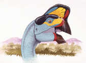tkm001_776552