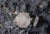 tkm001_781469
