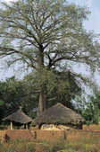 tkm001_781902