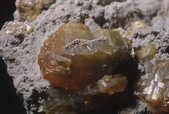 tkm001_782767