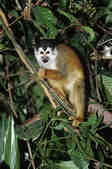 tkm001_783260