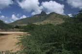 tkm001_792558
