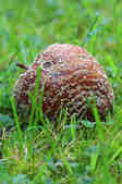 tkm001_800927