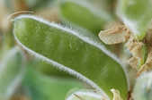 tkm001_802299