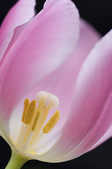 tkm001_806198