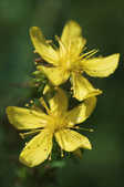 tkm001_807206