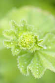 tkm001_808485