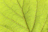 tkm001_808526