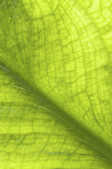 tkm001_808534