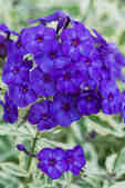 tkm001_808783