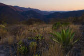 tkm001_891253