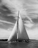 tkm001_946460