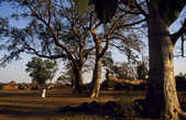 tkm003_183507