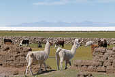 tkm003_185324