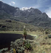 tkm003_186369