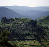 tkm003_186619
