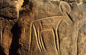 tkm003_186989