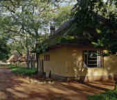 tkm003_192020