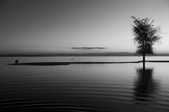 tkm003_192715