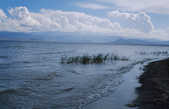 tkm003_193772