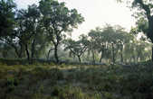 tkm003_196077