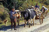 tkm003_196271