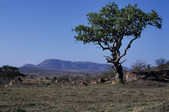 tkm003_197202