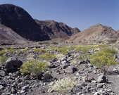 tkm003_198584