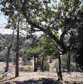 tkm003_198595