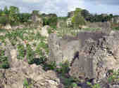 tkm003_199422