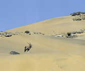 tkm003_200071