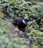 tkm003_200344