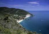 tkm003_202009
