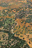 tkm003_202539