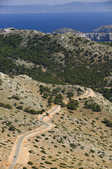 tkm003_203479