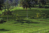 tkm003_203755