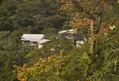tkm003_205177