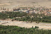 tkm003_208015
