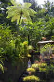 tkm003_210942