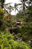 tkm003_210945