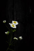 tkm003_547568