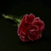 tkm003_549550