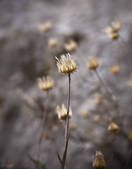 tkm003_549681