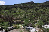 tkm003_550528