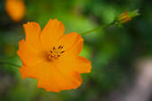 tkm003_551320