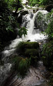 tkf002_100072