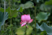 tkf002_101639